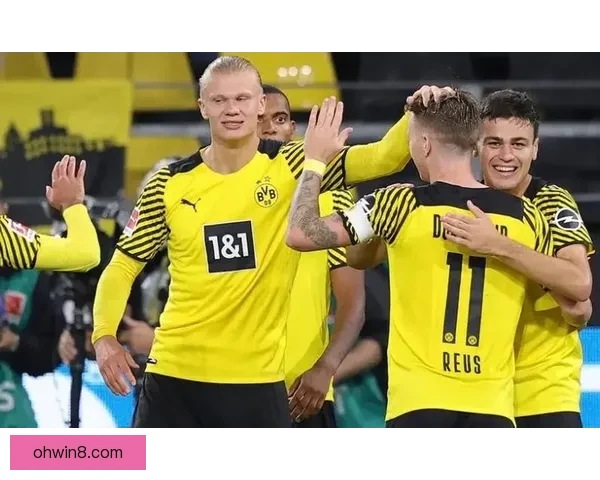 五大联赛射手榜聚焦哈兰德四战九球强势领跑群雄遥遥领先其他对手 五大联赛射手榜聚焦哈兰德四战九球强势领跑群雄遥遥领先其他对手